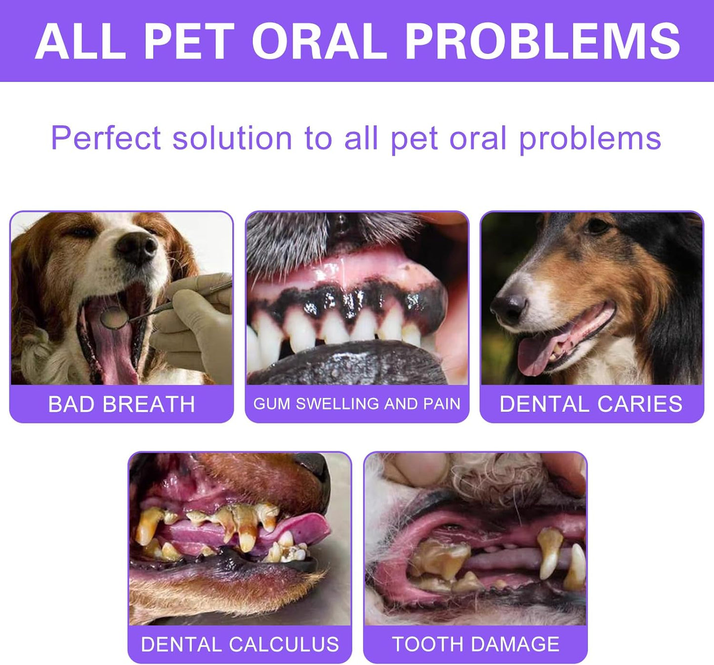 2 Pieces Dental Repair Gel for Dogs, Pet Gel for Oral Care, Fresh Breath for Dogs and Cats, Pet Toothbrush Pen, Pet Oral Care for Dog Cat, Removes Stains and Tartar of Pets