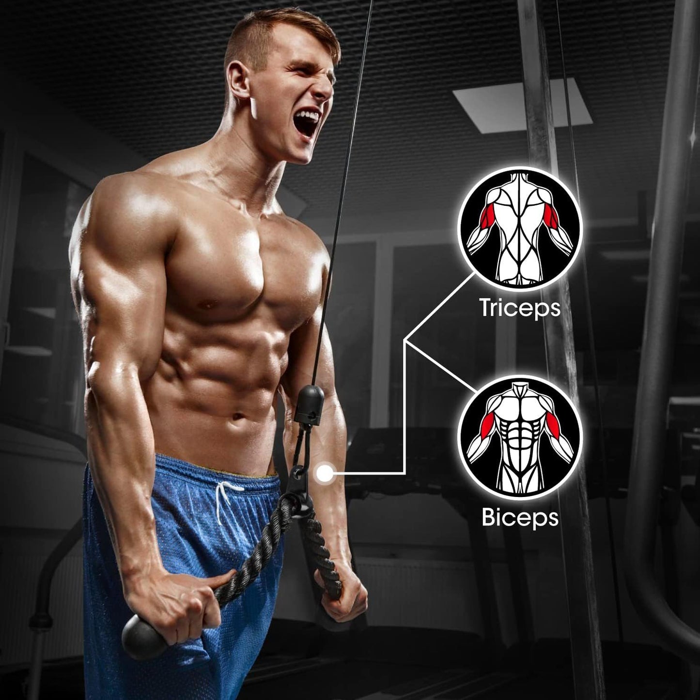 Yes4All Black Combo Tricep Press Down Cable Machine Attachment, LAT Pulldown Attachments for Gym Set with Tricep Pull Down Rope, Double D Handles, V-Shaped Bar and Rotating Pull Down Straight Bar