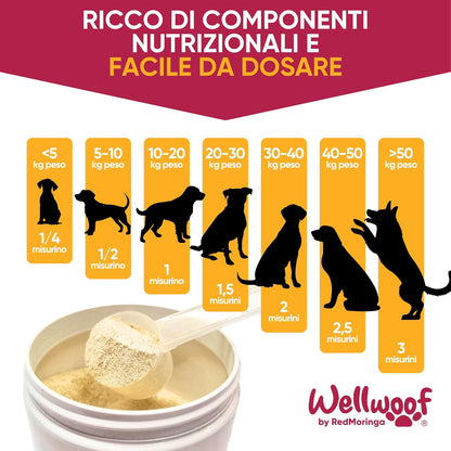 Wellfoof Dog Teeth Cleaning Supplement | Powder Supplement for Tartar Removal Dog | with Algae Ascophyllum Nodosum (75%), Moringa and Peppermint | Without Artificial Additives | 200 g