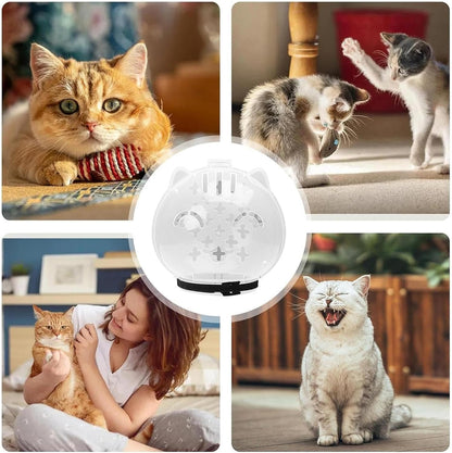 Breathable Cat Muzzle – Transparent Adjustable Pet Hood With Ventilation Holes | Kitten Astronaut Helmet For Bathing, Grooming, And Anti-Bite Protection