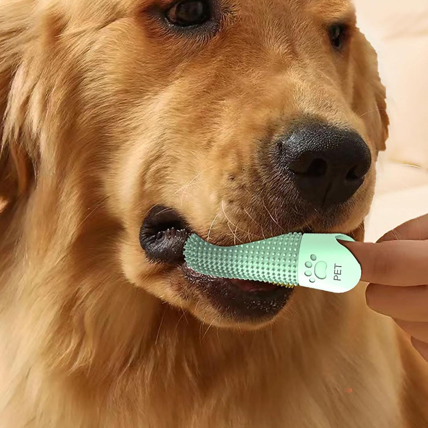 Dog Teeth Cleaning Brush - Silicone Dog Toothbrush Kit | Pet dentall Care | Soft Bristle Finger Brush For Cats & Dogs, Puppy Toothbrush For Oral Hygiene, Pet Grooming Supplies For Small Animals