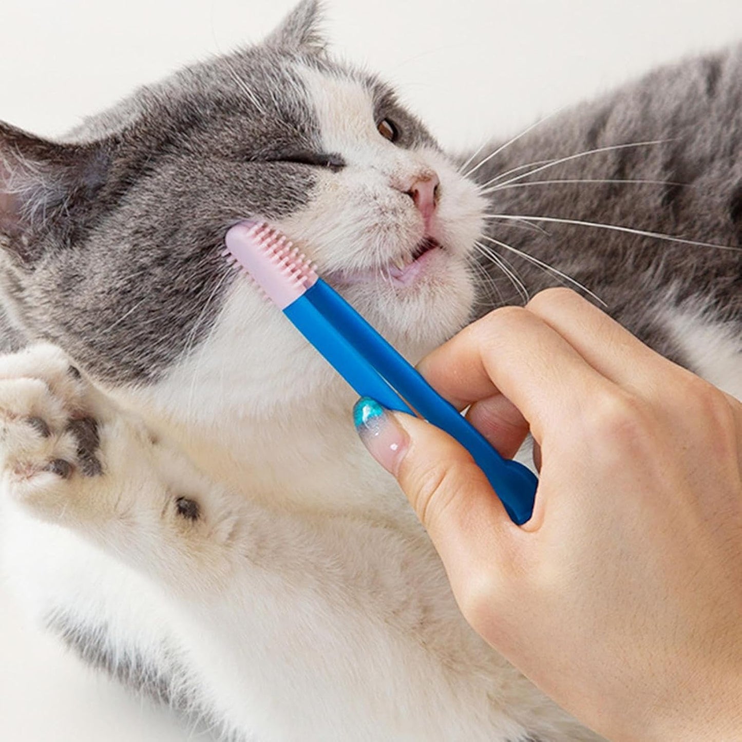Pet Tear Stain Brush - Hair , Cat Groomer | Portable Dog Tears and Mucus Remover Designed for Effective Dirt Cleaning with Compact and Lightweight Design to Maintain Hygiene and Hygiene