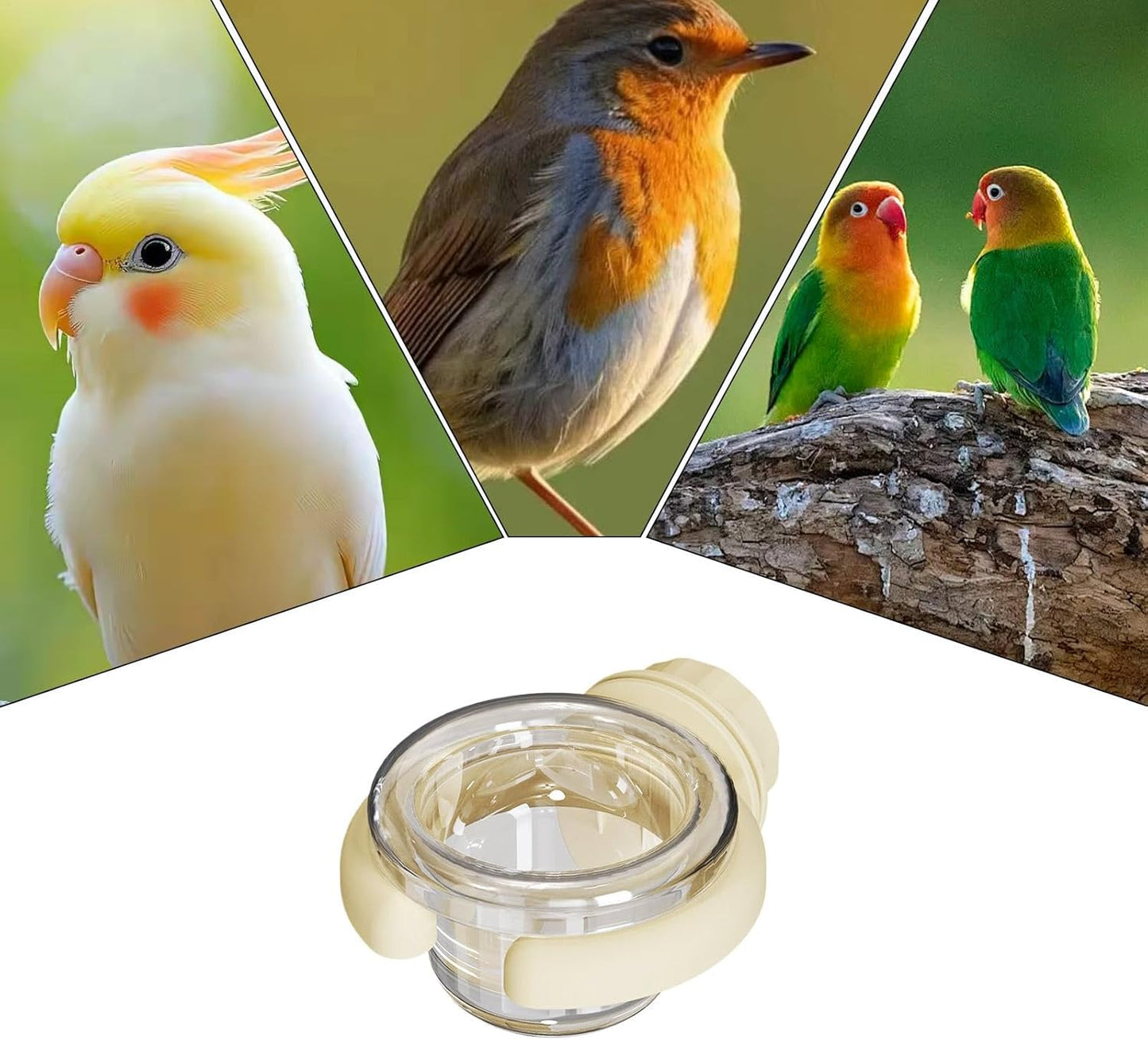 Parakeet Food Dish, Portable Bird Feeding Dish Cups, Chinchilla Cage Accessories, Watering Supplies Water Bowls with Clamp for African Greys, 3.39x2.87x1.73 inches