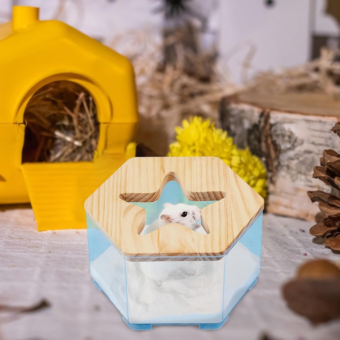Hamster Sand Bath Container, Transparent Hamster Toilet, 6.69x3.54in Multifunctional Gerbil Accessories, Easy Clean Design, Reusable Pet Supplies for Daily Use, Road Trips