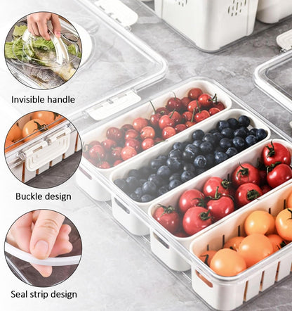 Divided Serving Tray with Lid and Handle, Storage Containers for Fridge, Snack Platters Organizer, Fruit Plate, Fresh -keeping Box Is Suitable for Fruits, Vegetables, Refrigerators, Picnics (4 grid)