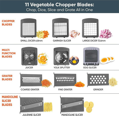 Vegetable Chopper, Multi 22-in-1 Veggie Mandoline Slicer, Food Cutter Chopper for Potato Tomato Fruit with Container, Recipe, 11 Blades, Lemon Squeezer, Egg Separator & Slicer