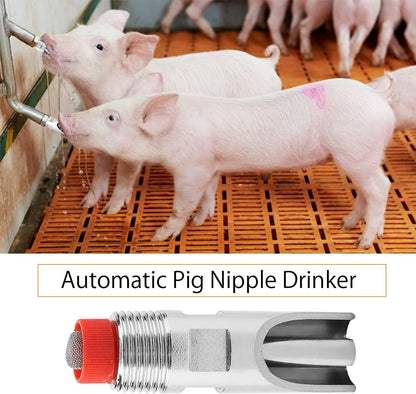 Water Nipple, 5Pcs Stainless Steel Automatic Drinking Feeder Red Duckbilled Poultry Watering System for Piglets Small Farm Animal Supplies
