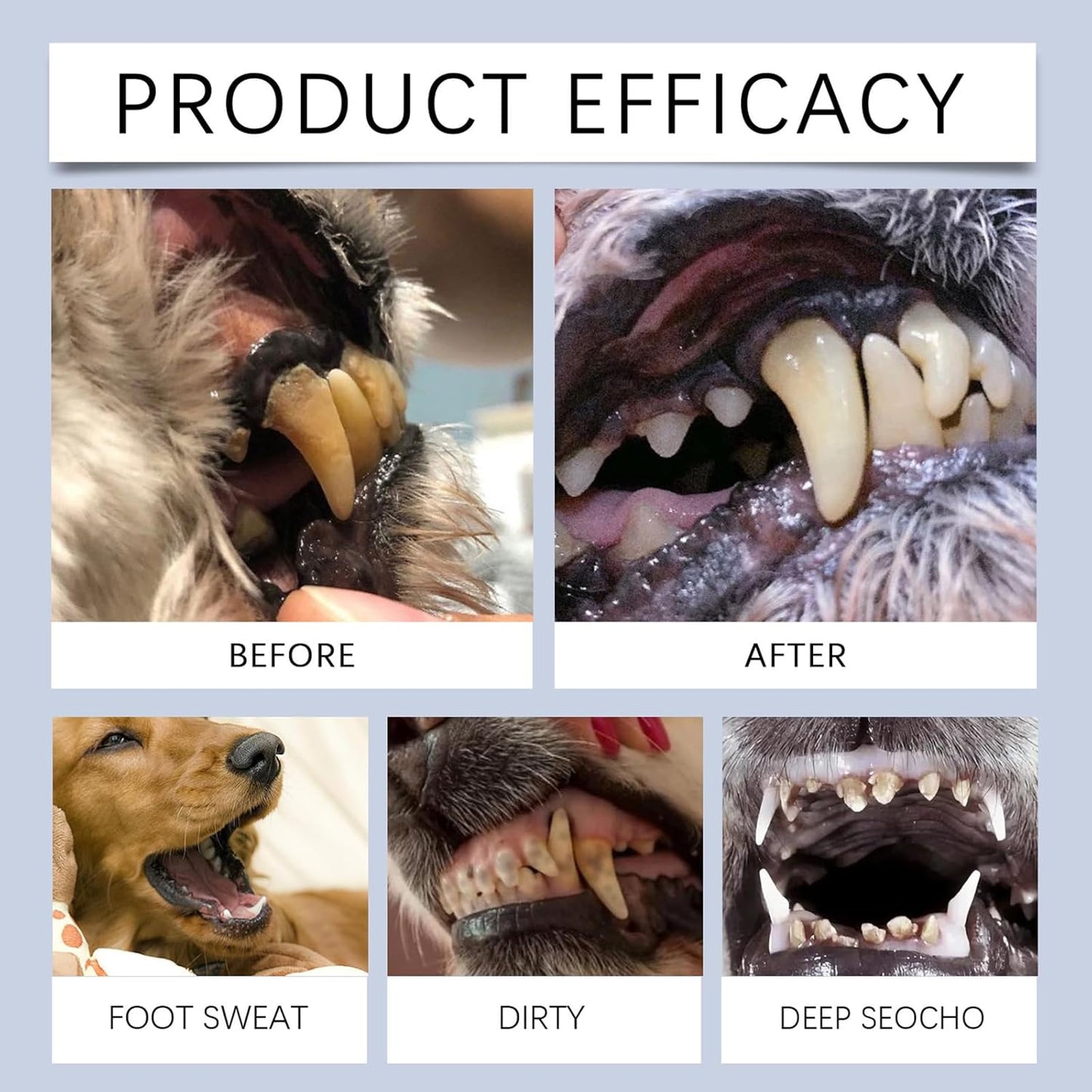 Spray per la Pulizia dei Denti per Cani e Gatti, Spray Orale per Animali Domestici, Pet Dental Care Toothpaste, Dentifricio per Cani, per Pulizia Denti Cane e Alito Cane, Contro Placca, Tartaro, 08