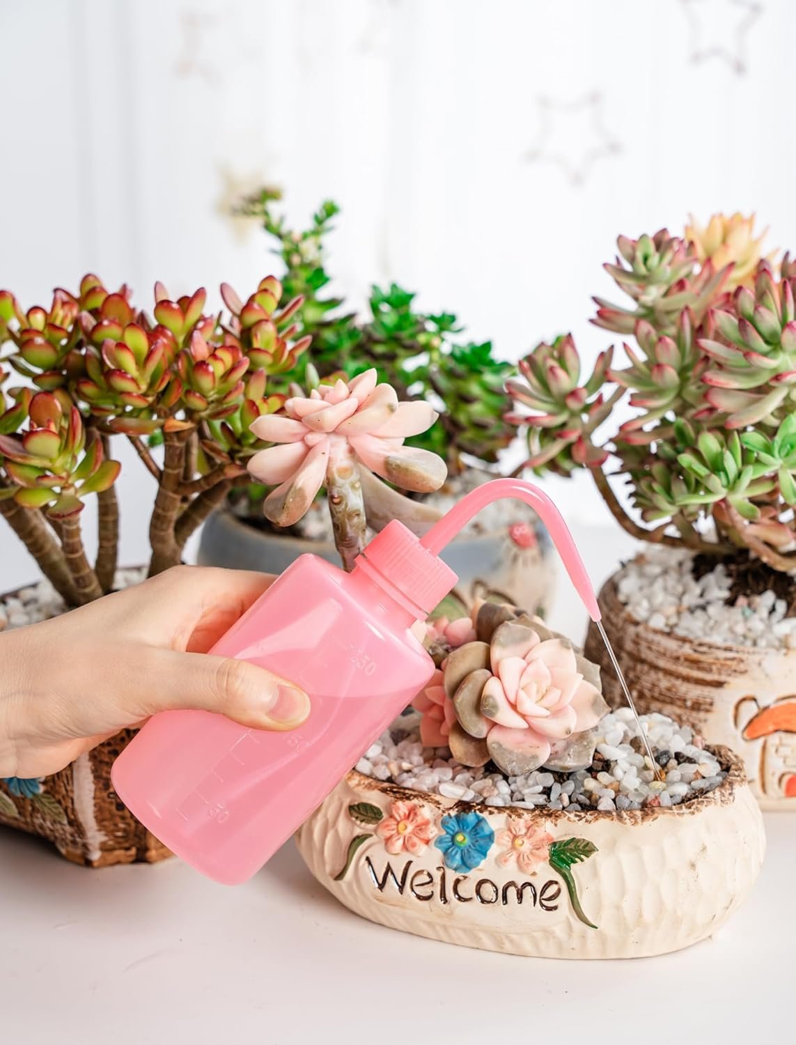 Melphoe Tattoo Wash Bottle Squeeze, 2Pcs 250ml Water Squirt Bottle Succulent Watering, Safety Rinse Watering Tools, Tattoo Supplies, Irrigation Sprinkling Can Wash Plant (Pink)