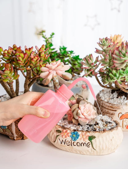 Melphoe Tattoo Wash Bottle Squeeze, 2Pcs 250ml Water Squirt Bottle Succulent Watering, Safety Rinse Watering Tools, Tattoo Supplies, Irrigation Sprinkling Can Wash Plant (Pink)