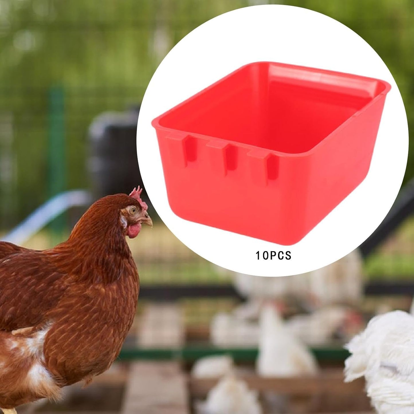 yuksok 10Pcs Cage Cups Bird Feeders Chicken Feeding Watering Feeders Versatile Hanging Poultry Feeding Container for Chicken Poultry