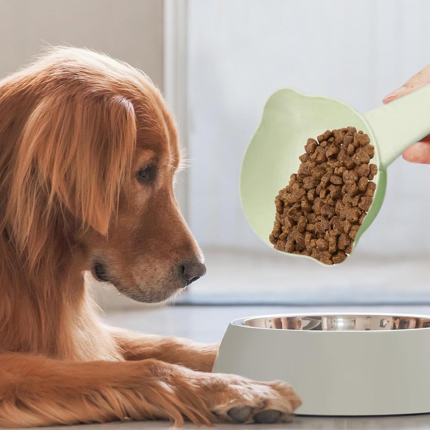 Gungtj Pet Food Scoop | Cute Adjustable Convenient Food Scoop | Measuring Cups, Cat Feeding & Watering Supplies For Wet, Grain, Cooking, Kitchen