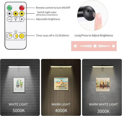 ZOCALOK Picture Light Battery Operated, Picture Lights for Wall, Wireless Picture Light with 2 Remotes, Picture Light for Paintings with 16 LEDs Head, 3Modes Dartboard Light with Timer for Art