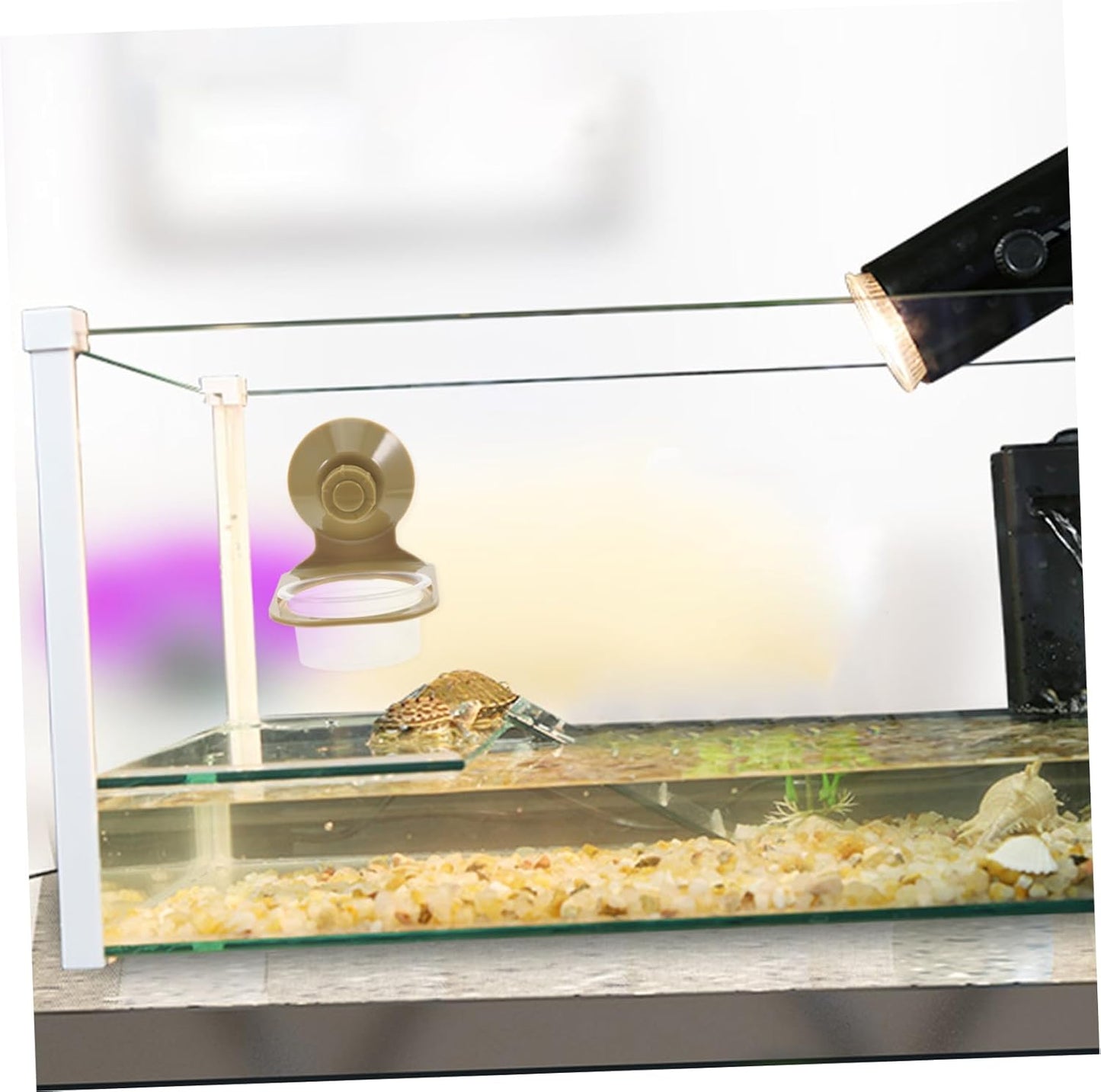 GANAZONO Sturdy Material Reptile Food Bowl Large Capacity for Tortoise Lizard Feeding Watering