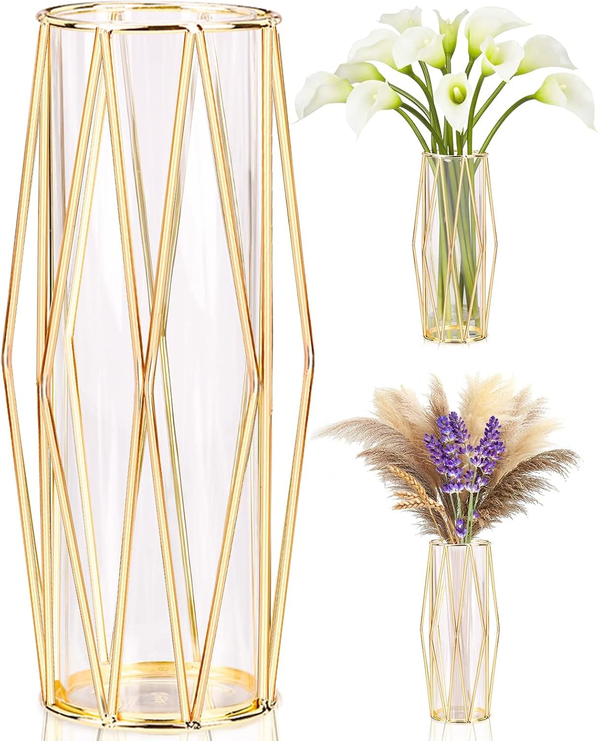 Decorative Indoor Glass Vase with Metallic Geometric Stand, Crystal Terrarium, Glass Vase for Hydroponic Plants and Flowers, Wedding Centerpieces and Interior Decoration