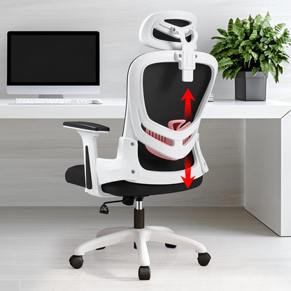 LIMBALAY Ergonomic Office Chair with Adjustable Lumbar Support, 2D Armrests, Headrest and Adjustable Height – Mesh Computer Chair for Office and Home