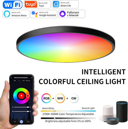 24W WiFi Smart Ceiling Light Fixture Ultra-Thin with Alexa Google Home Voice Control 220V Dimmable Light Fixtures 3000K-6500K Color Temperature for Bedroom Living Room Modern Style (Black)