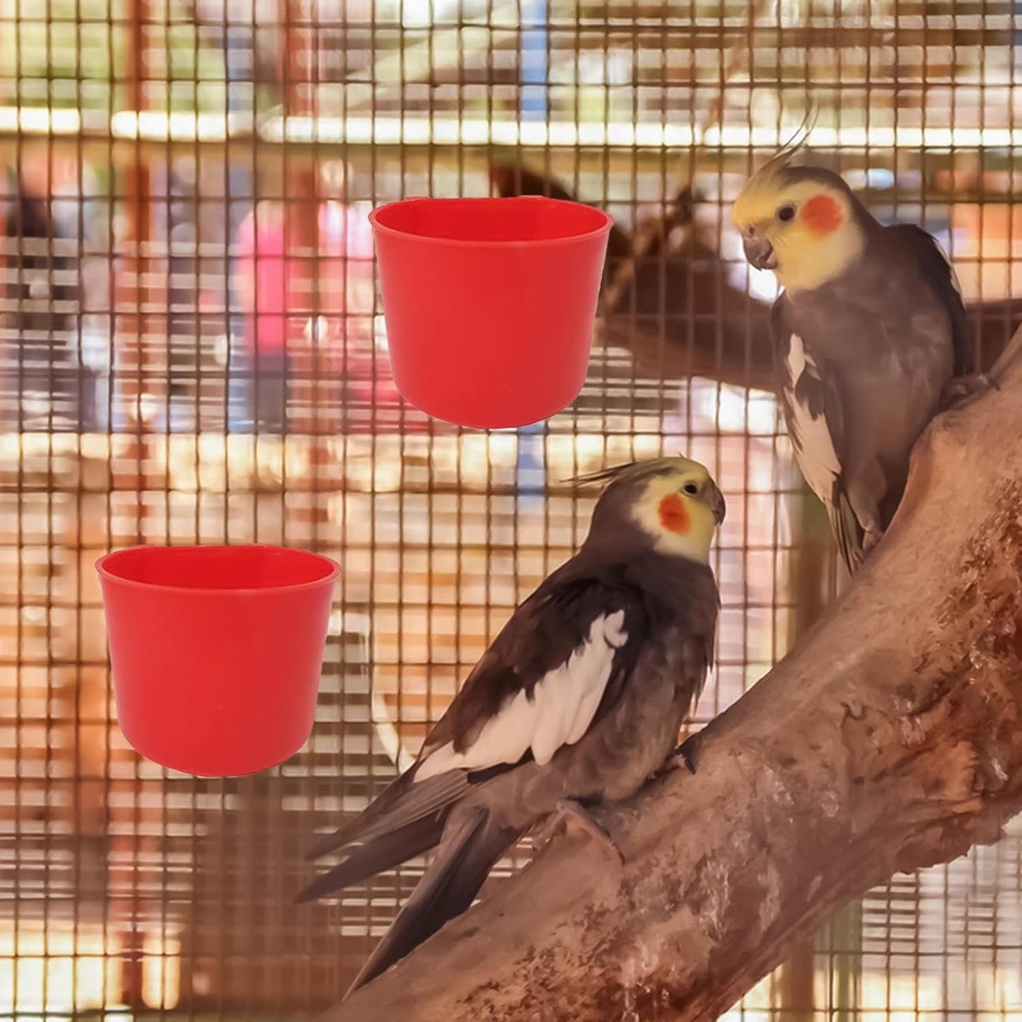 Chicken Drinking Cups | Hangable Feeder Bowl for Bird,8oz Wide Mouth Space Saving Watering Feeding Cup for Chicken Bird Parrot Duck