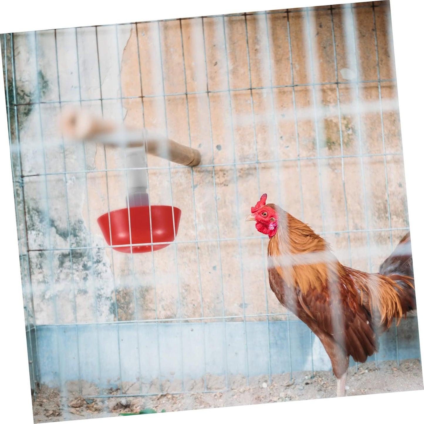 5 Pcs Chicken Bowl Automatic Broiler Drinkers Adjustable Drinkers Poultry Drinking Cups Chicken Feeding Cups Automatic Watering Drinkers Rooster Water Cup Pigeon Water Founder Red Plastic