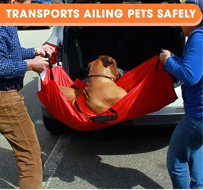 Pet Stretcher, Transport Stretcher Puppy, Multifunctional Foldable Patient Transfer Rescue Tool with Safety Strap for Medium Large Dogs Cats Bunny Pets, Portable, 120x74x3cm