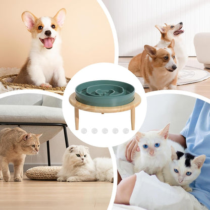 Slow Feeder Ciotola per cani Slow Feeder – Ciotola per cani antiscivolo rialzata in ceramica con base per l'alimentazione – Slow Feeder, lavabile in lavastoviglie, giocattolo multifunzionale per