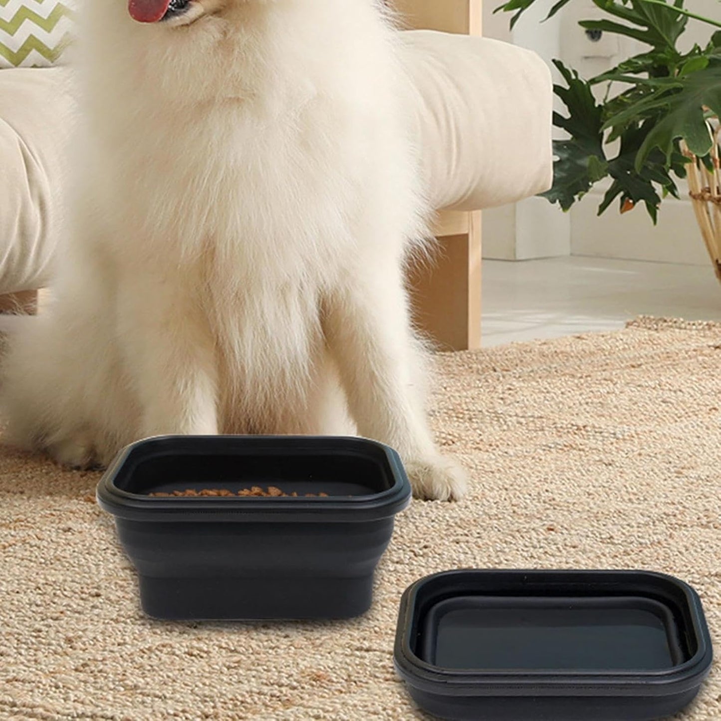 Ciotole pieghevoli per cani, multifunzionali, igieniche, compatte, ciotola da viaggio per cani, ciotola per mangiare, annaffiare per esterni, viaggi, passeggiate, escursioni