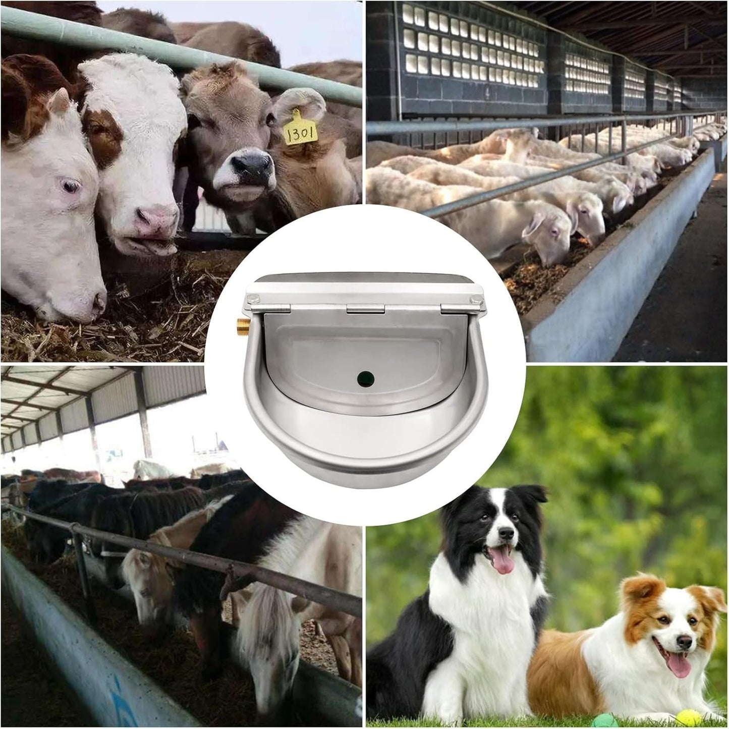 Automatic Water Dispenser for Dogs,304 Stainless Steel Automatic Chicken Waterer,Outdoor Dog Water Bowl with Brass Float Valve,Water Feeder for Livestock Poultry Duck Horse Goat Sheep