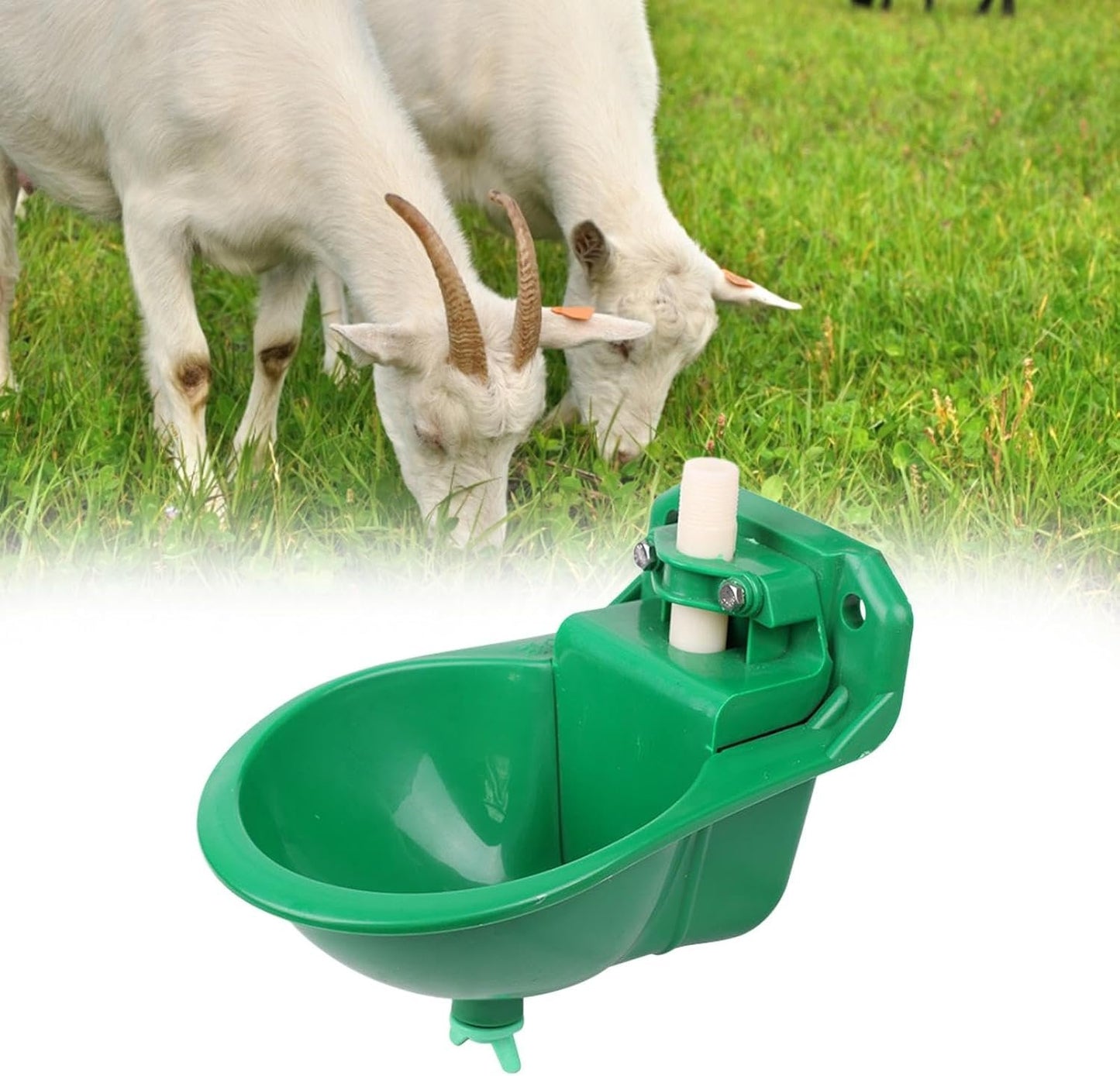 Qianly Automatic Sheep Feeding Water Bowl, Goat Waterer Watering System Auto Drinker Waterer Cup Water Trough for Farm Animals, Dog, Cow, Sheep
