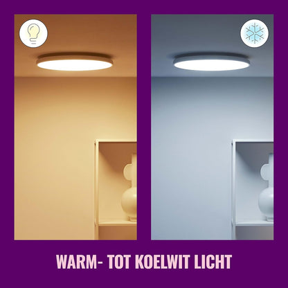 WiZ Colour Arca Smart Connected WiFi Dual Zone Ceiling Light. [White] App Control for Indoor Home Lighting, Livingroom and Bedroom