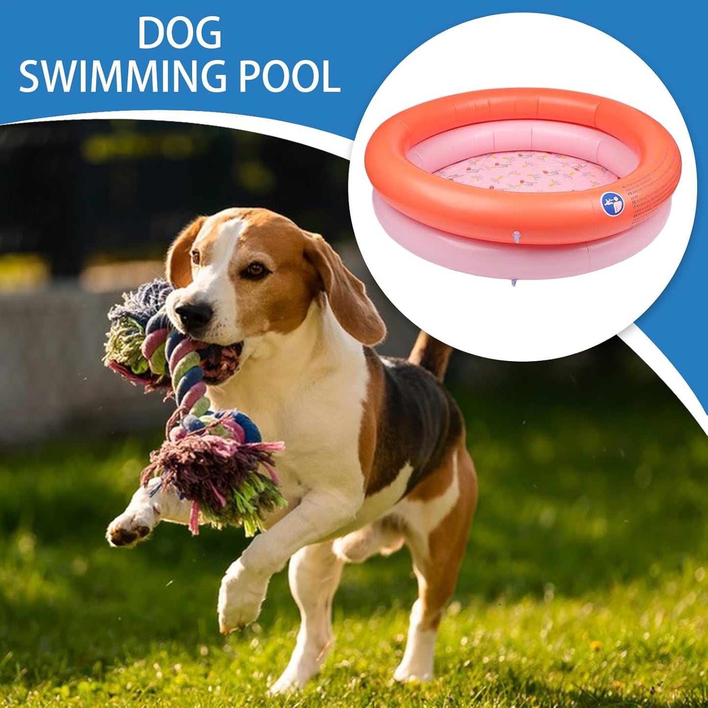 Dog Pool, Folding Tub, 31.5x31.5x9.84 Inch Foldable Bathtub & Inflatable Rim, Portable Pet Basin Design for Outdoor Backyard Use, Ideal Washing Spot to Puppies Small Medium Indoors