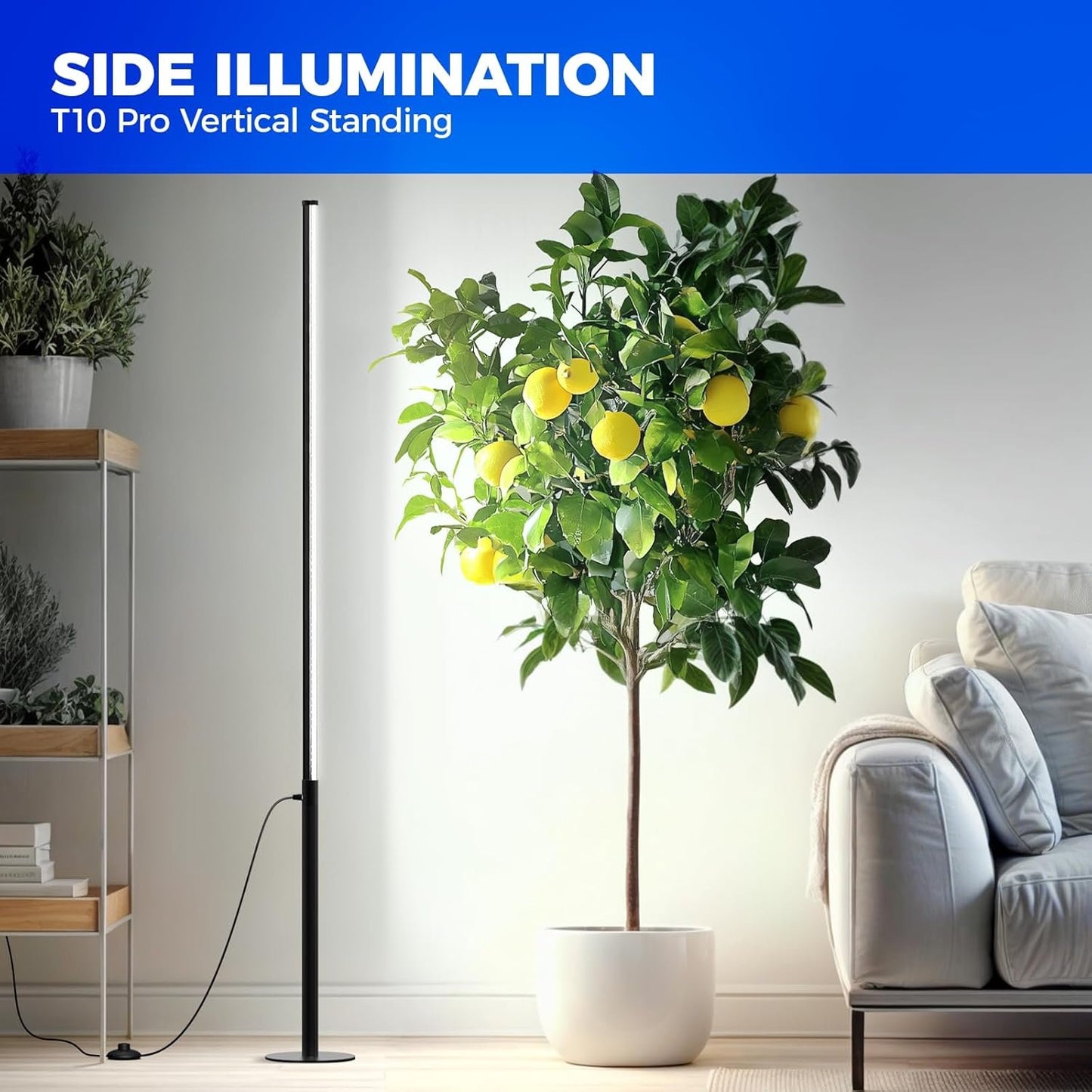 Barrina T10 Pro Standing Plant Light with Timer, 42W, 5000K, Full Spectrum Vertical Grow Lights for Indoor Plants, Wide Coverage, 120cm to 170cm Height with Foot Switch, for Flower and Tall Plants