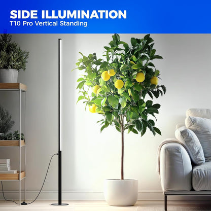Barrina T10 Pro Standing Plant Light with Timer, 42W, 5000K, Full Spectrum Vertical Grow Lights for Indoor Plants, Wide Coverage, 120cm to 170cm Height with Foot Switch, for Flower and Tall Plants