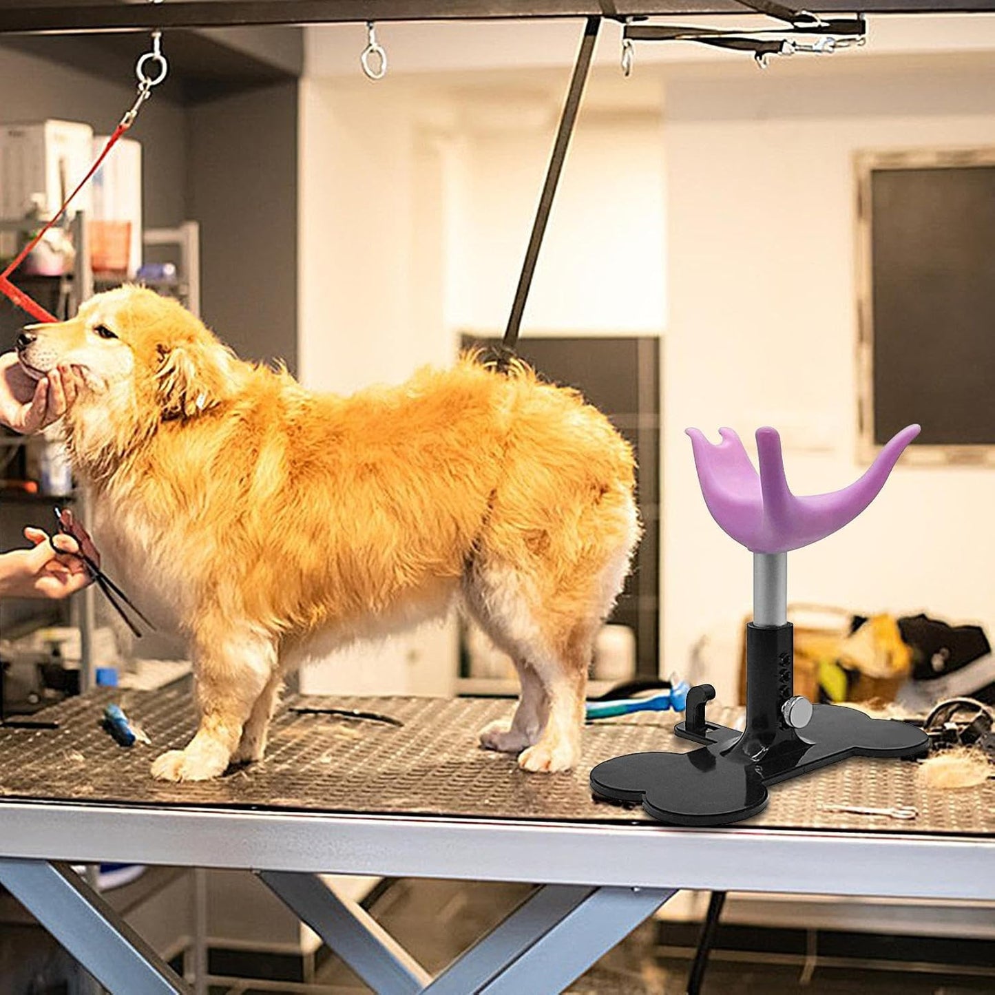 Small Dogs Grooming Chair, Standing Bathing Support, 5.7x7.28 inches Adjustable Height, Sturdy Material, Assistive Stand Ladder for Dog, Trimming, Showering, Grooming