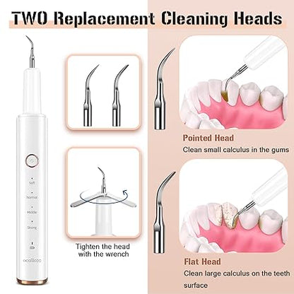Plaque Remover for Teeth, Electric Tooth Cleaner Tartar Remover for Teeth with LED Light,4 Modes Rechargeable Teeth Cleaning Kit with Dental Tools, 2 Replaceable Heads (White A)