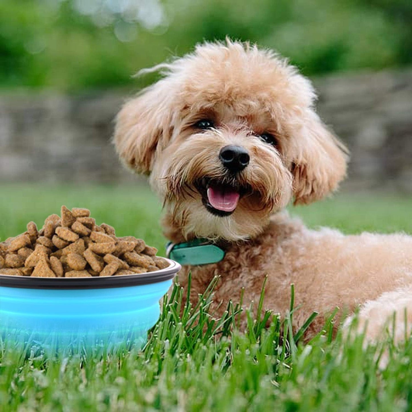 Silicone Feeding Watering Bowls with Lids and Carabiners, 2Set Dog Bowls Pet Collapsible Bowl with Covers and Carabiners, Silicone Collapsible Pet Dog Cat Food Water Bow with Covers and Carabiners