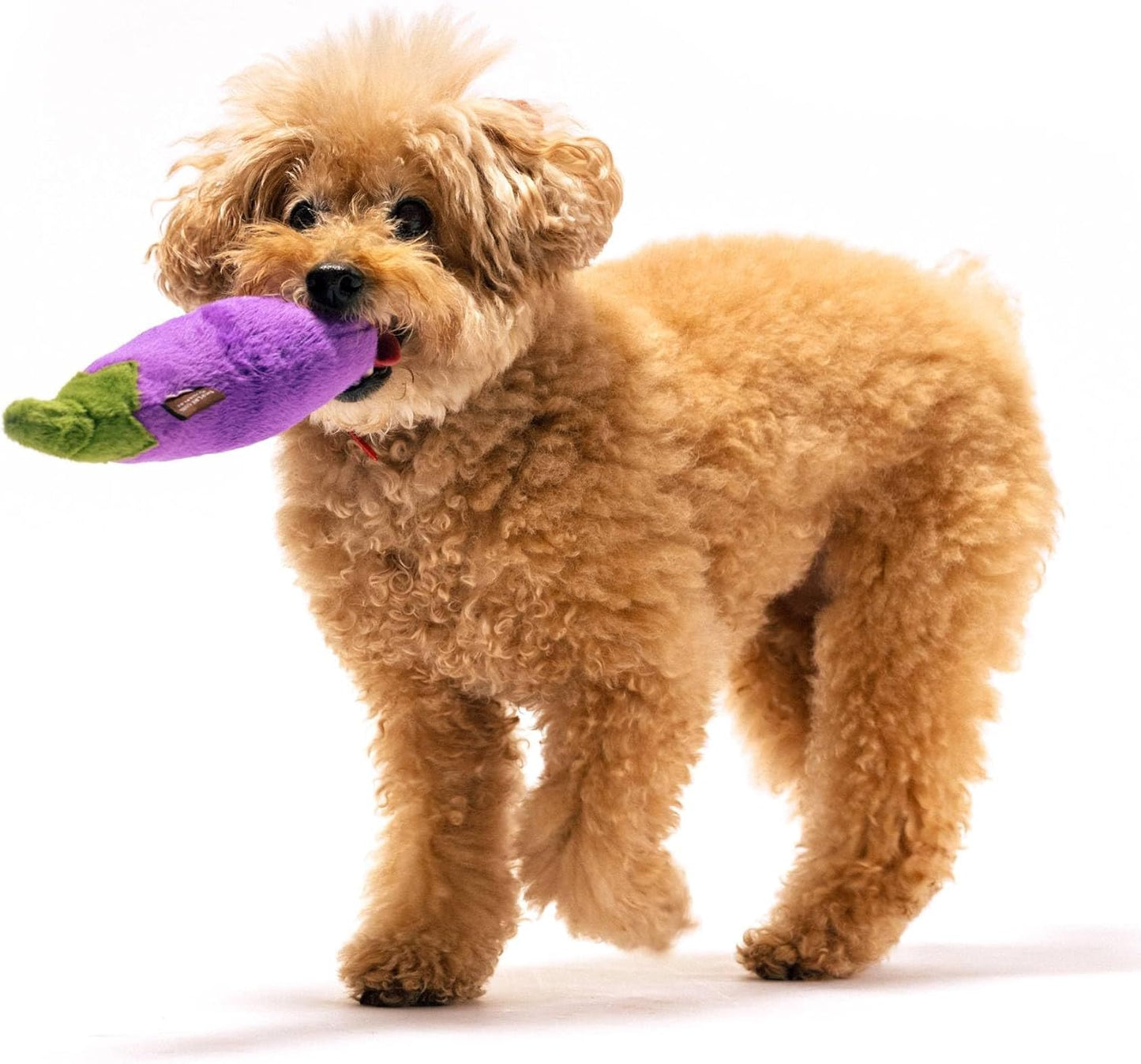 P.L.A.Y. PY7024ASF Farm Fresh Toys Plush Toy for Dogs and Cats Eggplant/Aubergine