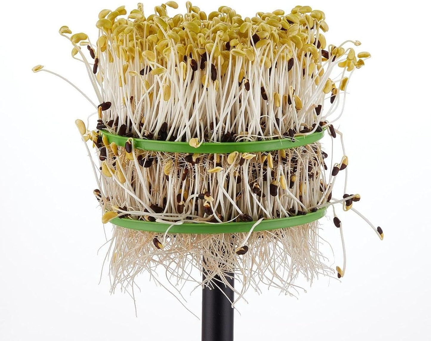 Ronyme Kit di Germinazione per Fagioli con Spruzzatore a 360 Gradi modalità, 1 Set di Piastre di Arachidi