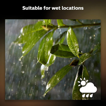 Philips Hue White & Color Ambiance Outdoor Lightstrip Extension, 2m Length, LED Strip Lights, Colour Changing, Bluetooth & Zigbee Compatible, Voice Activated with Alexa