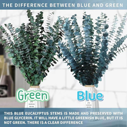 Preserved Dried Eucalyptus Stems Bundle - 12 PCS Blue Eucalyptus for Shower, 17" Natural Eucalyptus Bundle Real Greenery Fresh Leaves Plants, Aromatherapy SPA, Wedding Arrangements, Home Decor