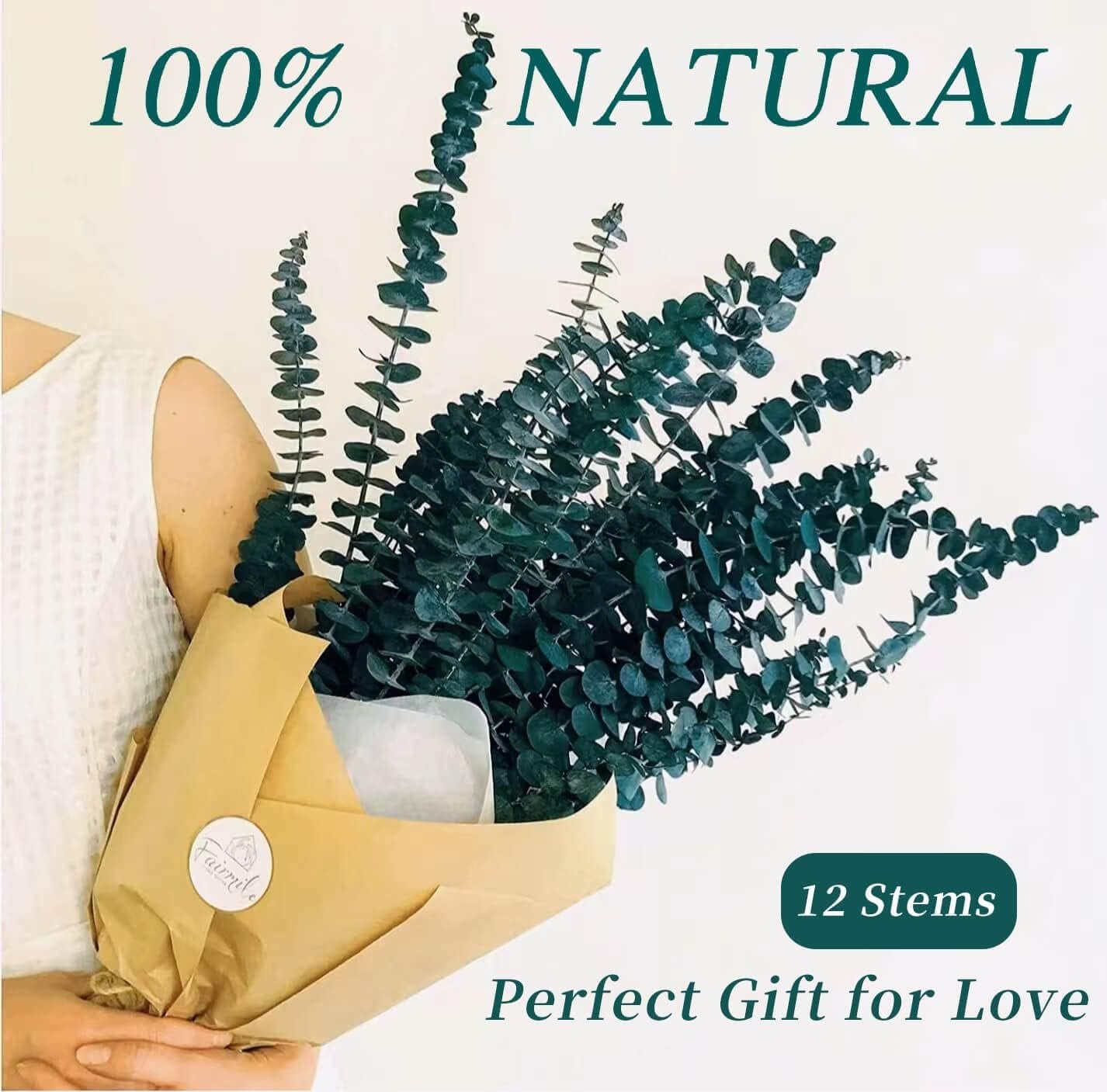 Preserved Dried Eucalyptus Stems Bundle - 12 PCS Blue Eucalyptus for Shower, 17" Natural Eucalyptus Bundle Real Greenery Fresh Leaves Plants, Aromatherapy SPA, Wedding Arrangements, Home Decor