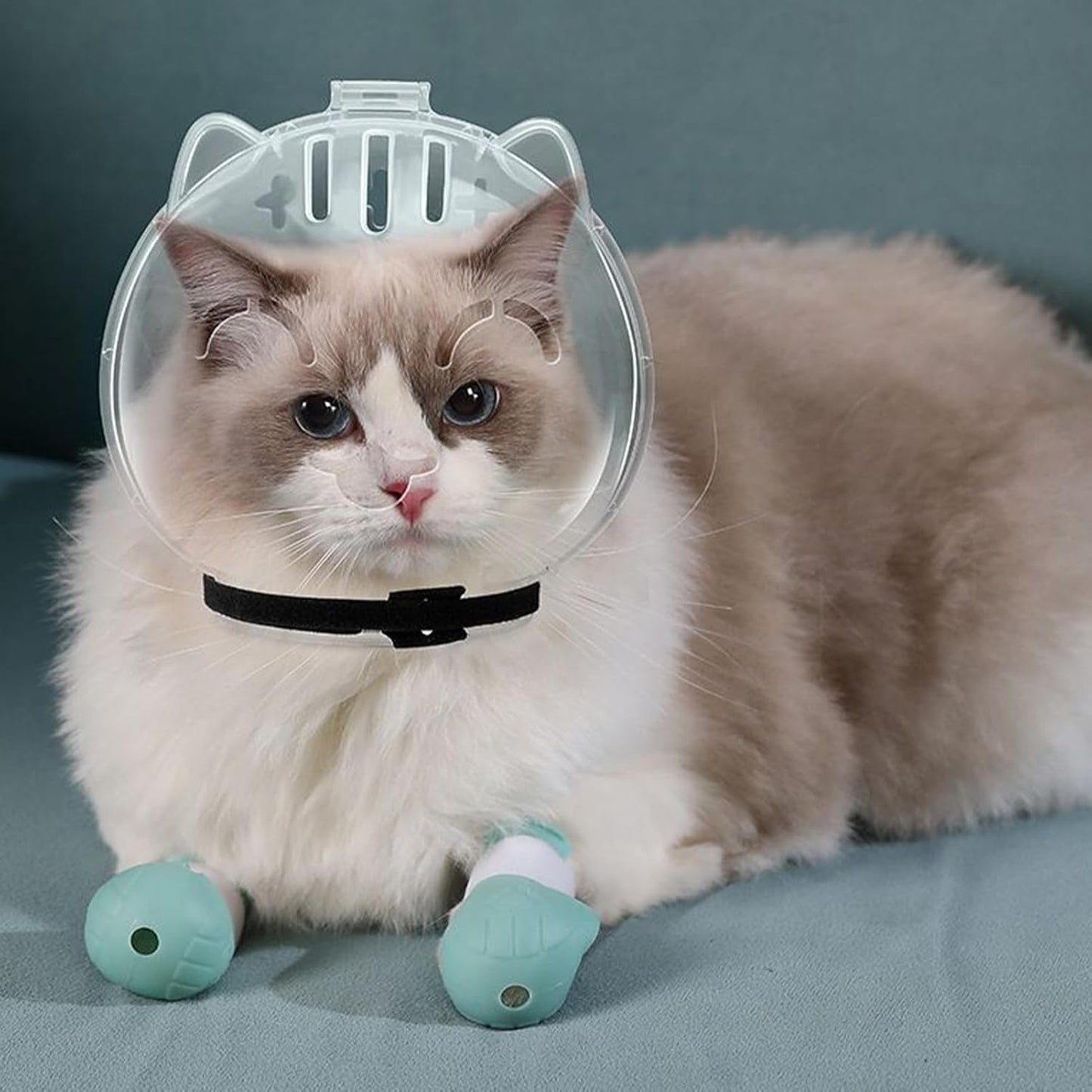 Breathable Cat Muzzle – Transparent Adjustable Pet Hood With Ventilation Holes | Kitten Astronaut Helmet For Bathing, Grooming, And Anti-Bite Protection