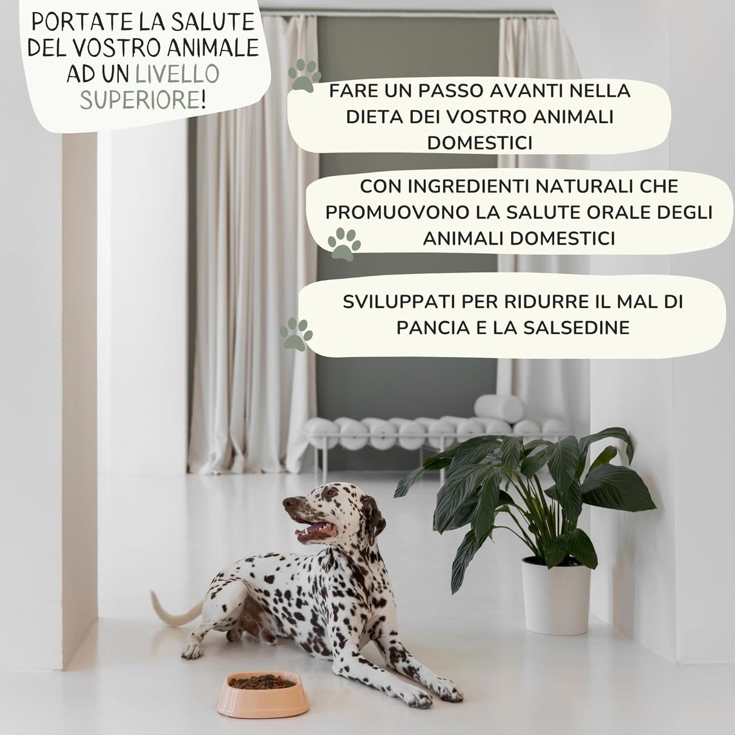 Lamina Care - Natural Supplement for Cleaning Teeth for Dogs and Cats with Kelp Algae to Improve Bad Dog Breath, Powder Dissolves Tartar Dog of Pleasant Taste, Alternative to Toothbrush for Dogs