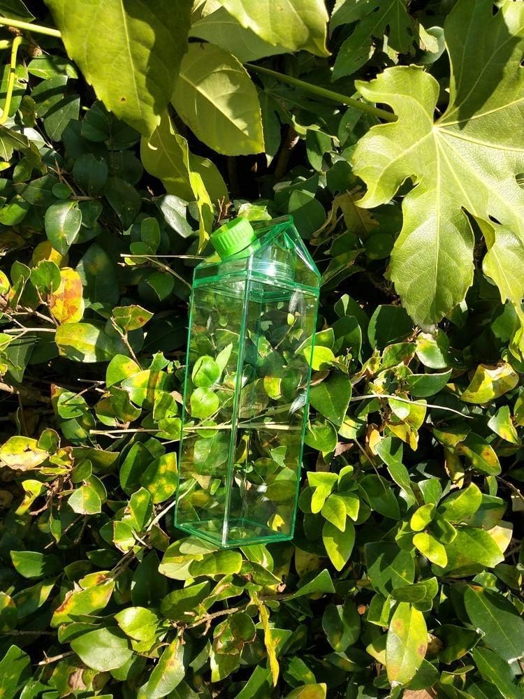 1000ml/34oz Cute Leakproof Clear Milk Carton Water Bottle Portable Drinkware for Outdoor Climbing Tour or Camping