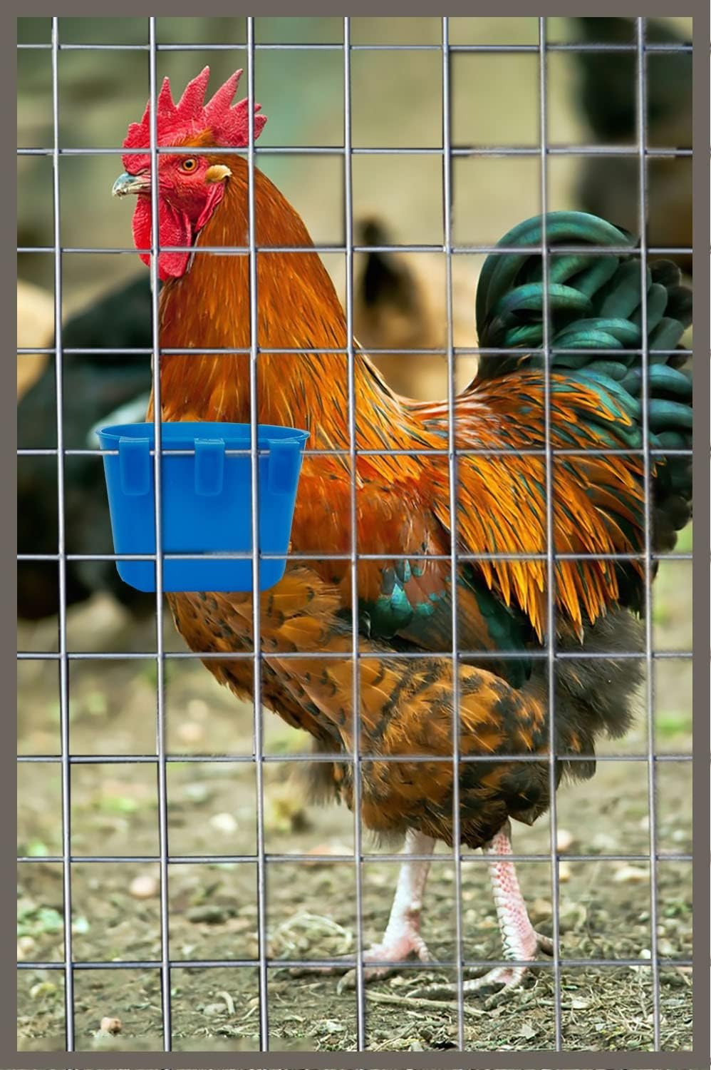ORIBUKI 40 Pack Cage Cups Birds Feeders Seed Bowl Chicken Feeding Watering Dish Rabbit Water Food Hanging Wire Cages Box 8oz Coop Cups for Pet Parrot Parakeet Gamefowl Poultry Pigeon (Blue)