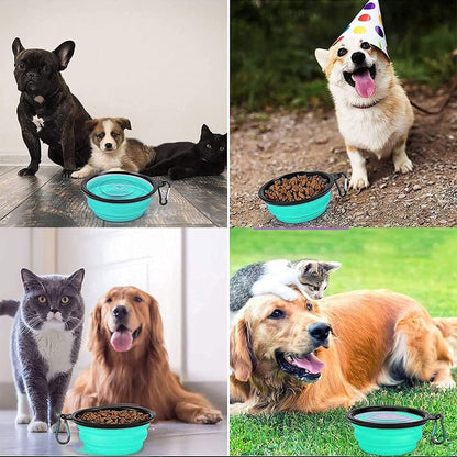 Folklyzo Collapsible Dog Bowl, Portable Pet Feeding Watering Dish, Light Green
