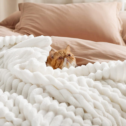 Bedsure Throw Blanket Living Room Home Decor- Gift for Mom Women Men, Soft Fluffy Fleece Cozy Fuzzy Plush Warm White Couch Bed Blanket, Bedroom Summer Decor Gifts for Him Her, 50x60