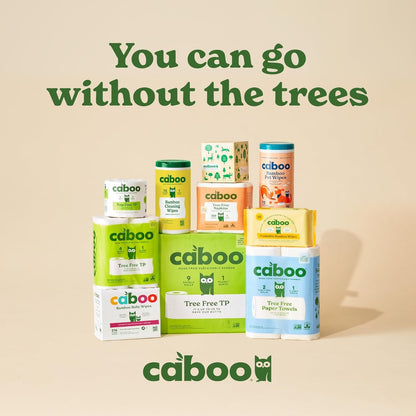 Caboo Tree Free Paper Napkins, 4 Packs of 250, 1000 Total Napkins, Eco Friendly, Sustainable, and Disposable Kitchen Napkins