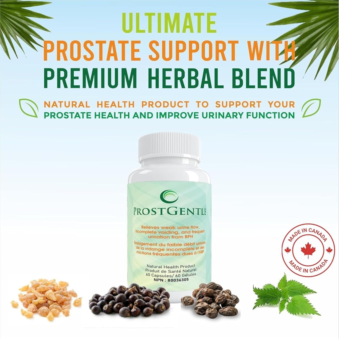 ProstGentle Relieves weak urine flow, Incomplete voiding, and frequent urination from BPH (2)