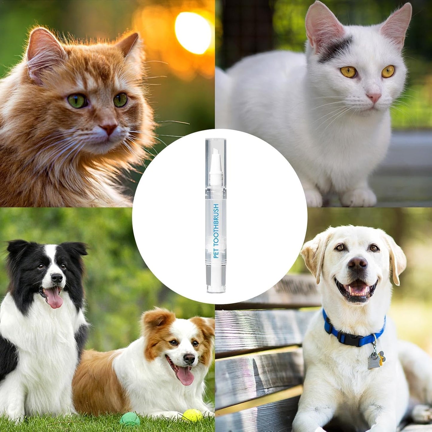 Pet Toothbrush Pen, Dog Toothbrush Pen, Cat Toothbrush Pen, Pet Hygiene Pen, Compact Pet Toothbrush, Pet Oral Care Pen, Soft Bristle Pet Toothbrush, Ergonomic Pet Toothbrush