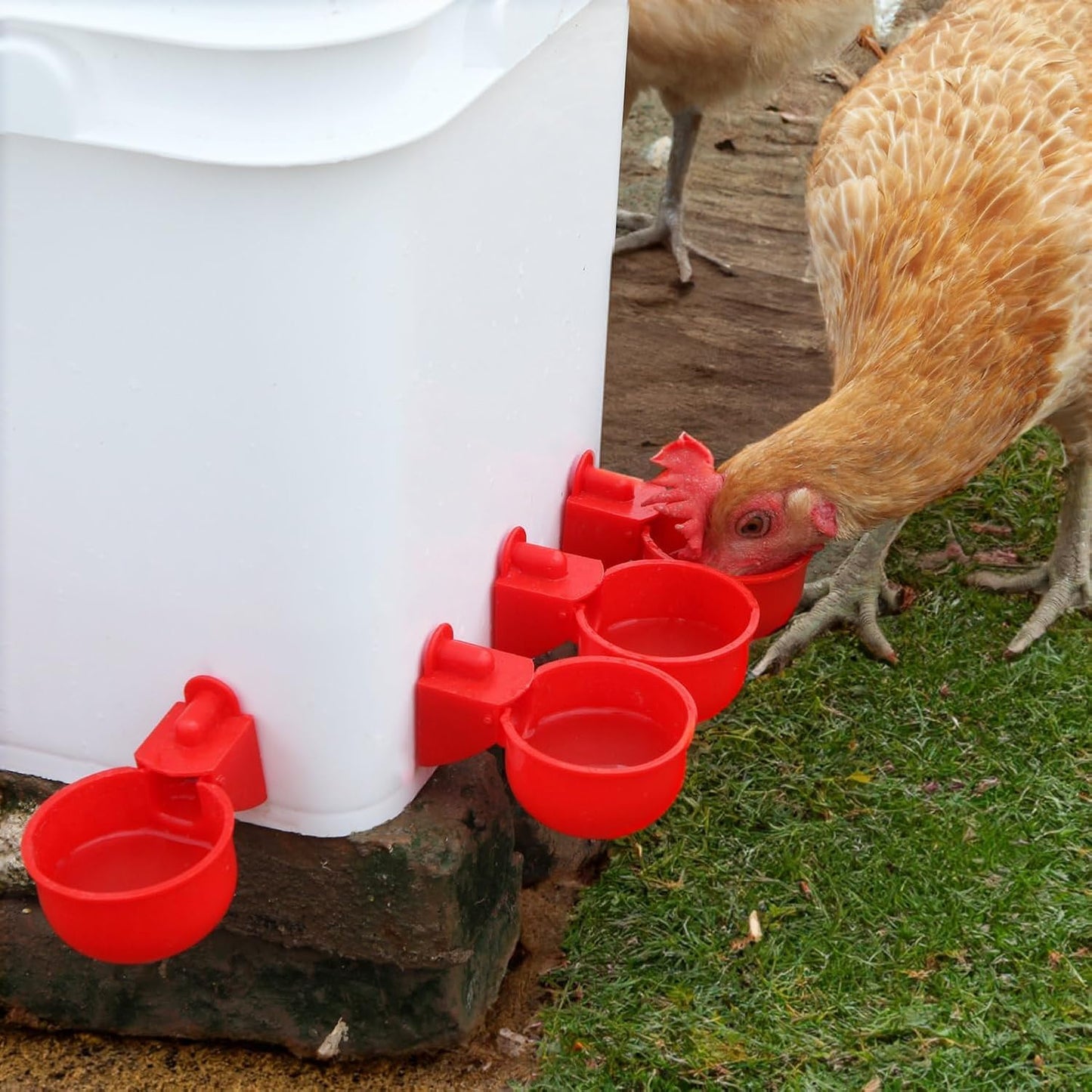 Chicken Feeder No Waste Automatic Poultry Feeder DIY Chicken Feeders and Waterer Set 6 Chicken Feeders Ports with 6 Chicken Water Cups Auto Chicken Feeder Kit